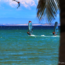 Margarita Insel, Venezuela
