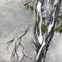 Bushwalk, 2011, Bleistift&Tinte