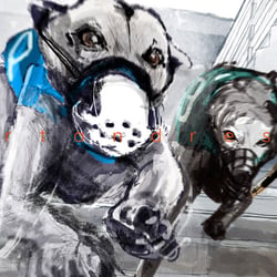 HUNDERENNEN