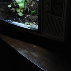 DSC 0175