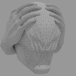 Helmet Design MAW Wireframe