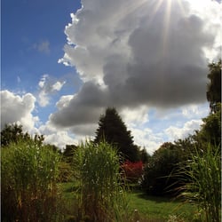 Herbstsonne 0226k