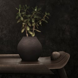 cgi images