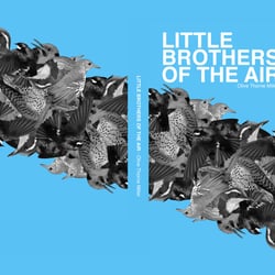 Book Cover – Little Brothers of the Air
