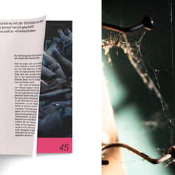 Fotografie und Buchgestaltung