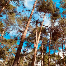 Uckermark / 2022
