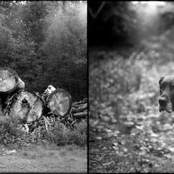 www.pictomanisch.de