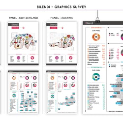 Graphics for Bilendi