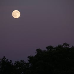 Moon – Jun. 2014 © by Dina.T