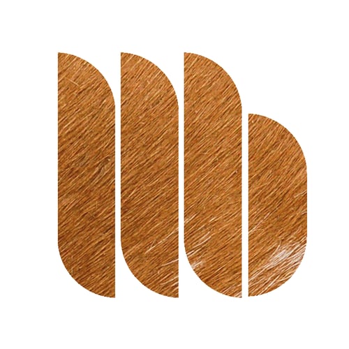 M. Braun Mediengestaltung