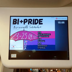 Illustration und Erstellung von U-Bahn-Werbung für die Bi+Pride in Hamburg