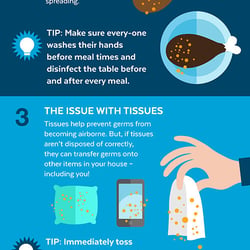 Infografik Lysol/Sagrotan