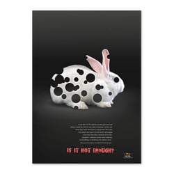 Plakat/Hase
