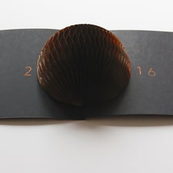 Neujahrspost 2016