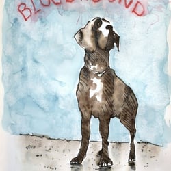 Bloodhound