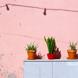 Composing (before)