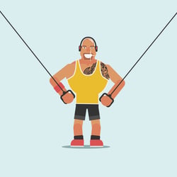 theRock Seilzug