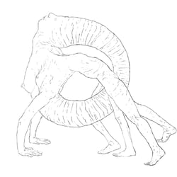 o.T.14