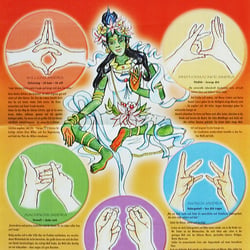 Mudras Plakat
