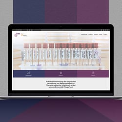 portfolio-website startseite komplett-phagoflow