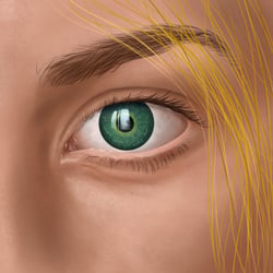 Horizon in the eye