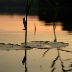 IMG 9538