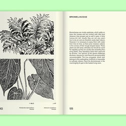 Leafy House Plants Von Benjamin Wurster