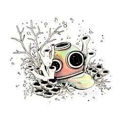 diver_ilanapuetz