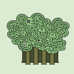 Entwurf Magazincover zum Thema Wald
