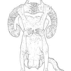 o.T.15