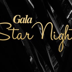 Logo-Entwicklung für Gala Star Night