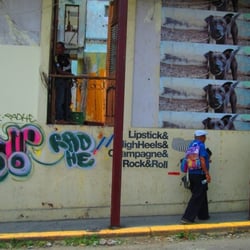 Tigerente in Panama