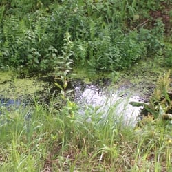 Natur 2012