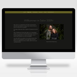 3SEIN Website