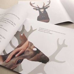 Grafik & Layout Rothirschlounge Booklet