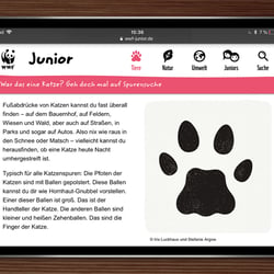 Luchs bei WWF Junior