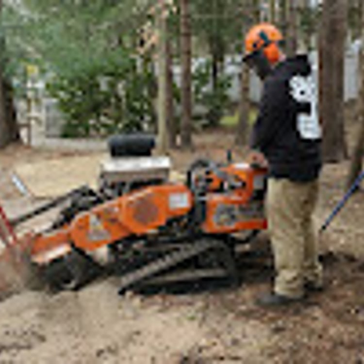 Woodchuck Stump Grinding