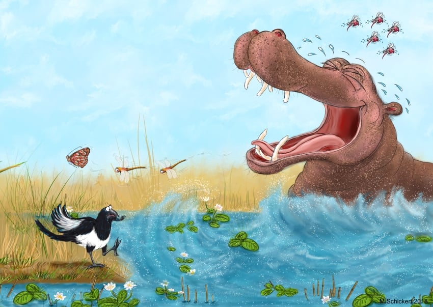 Kinderbuchillustrationen Tiere Selbstvertrauen Nilpferd Elster Wildtiere
