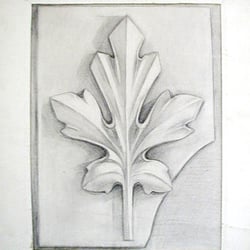 Zeichnung
