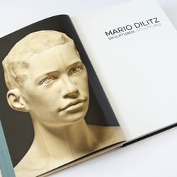 Titelei Kunstband Mario Dilitz