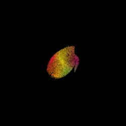 Touch
