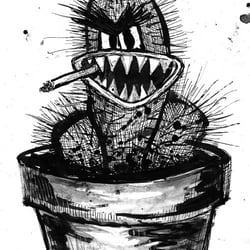 Cactus