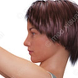 Bauch, Beine, Po: BOP-Training für Frauen – Übung-Position