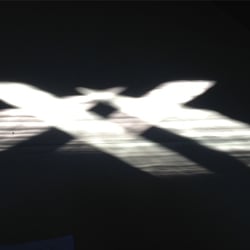 XX