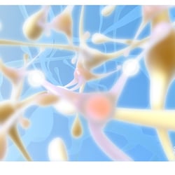 Synapsen Artwork