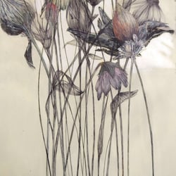 florale 7