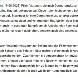 Kaltplasma-Aerosol für die Tiermedizin