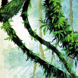 Urwald