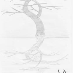 Baum