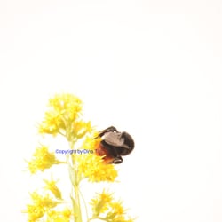 nature 2014 Foto Übung